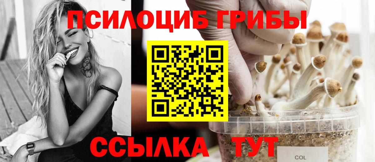 Галлюциногенные грибы Psilocybe  Вход с VPN  наркошоп  Галлюциногенные грибы Magic Shrooms  Россошь 